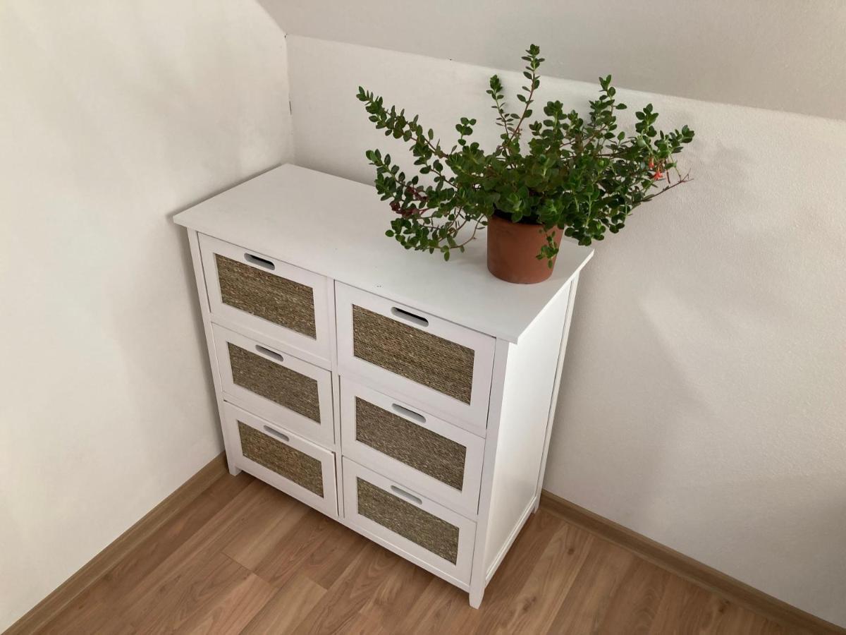 Apartmany U Reky Nezarky Lasenice Экстерьер фото